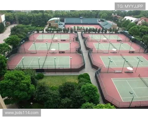 上海网球队的管理模式与发展策略深度解析 上海网球队的管理模式与发展策略深度解析