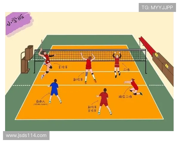 北京排球队灵活性分析与战术创新探讨助力排球发展 北京排球队灵活性分析与战术创新探讨助力排球发展