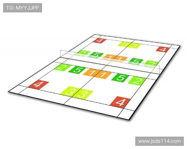 南京羽毛球队控制打法深度解析与战术运用探讨 南京羽毛球队控制打法深度解析与战术运用探讨