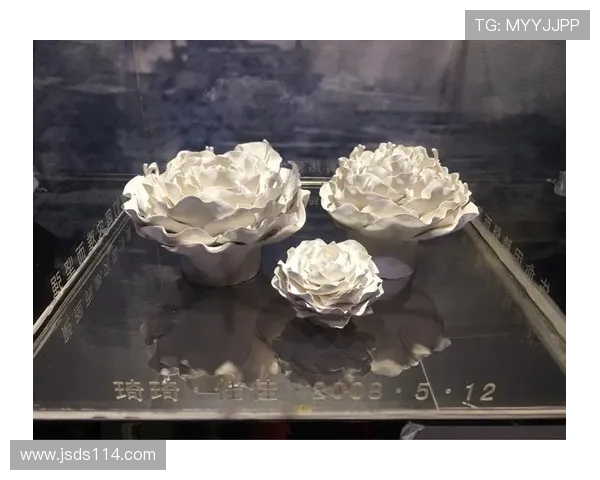 对话王丽:探索街舞世界中的梦想与坚持之旅 对话王丽:探索街舞世界中的梦想与坚持之旅