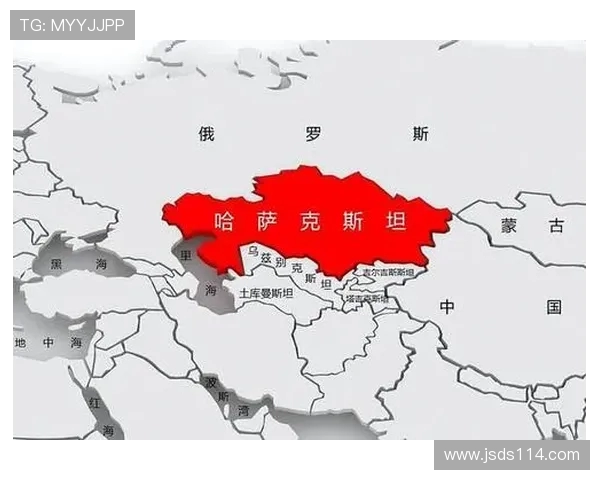 新西兰与哈萨克斯坦的精彩对决分析与赛前预测